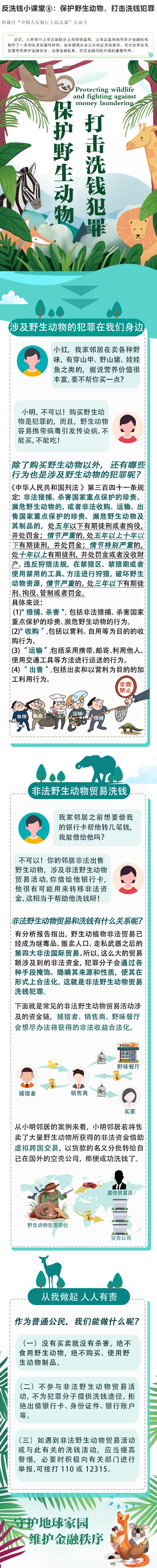 反洗錢小課堂⑥：保護野生動物，打擊洗錢犯罪.jpg